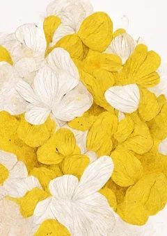 可愛い×可愛い＝可愛い