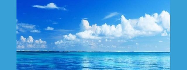 叶葵 活動終了見る専に変更 誤フォローすみませんさんの壁紙画像