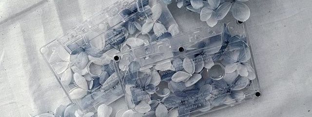 ねむさんの壁紙画像