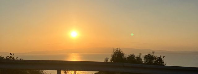 きなこ🦕💫さんの壁紙画像