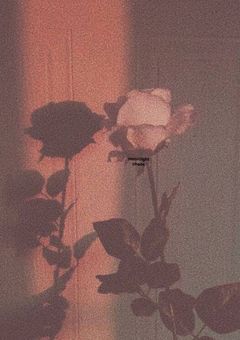 俺のムスコ見るの、やめてもらって良いですか（（