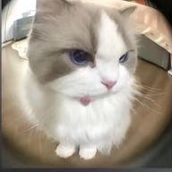 おこめ🍙さんのアイコン画像