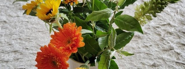 藤 洟 ら い 。さんの壁紙画像