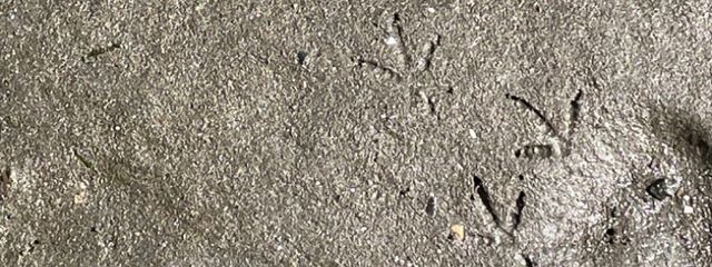 🥰さんの壁紙画像