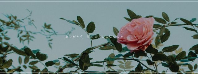 夜月☪·̩‖音譜ちゃんとペア画中𖤐 ´-さんの壁紙画像