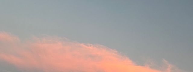 なのさんの壁紙画像