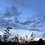 なのさんのアイコン画像