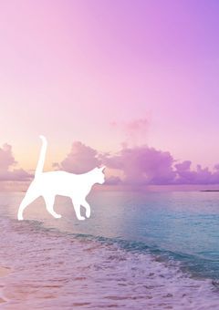 ⚔️🩷くんの妹