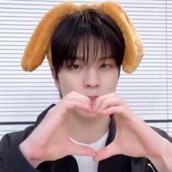 小芥子さんのアイコン画像