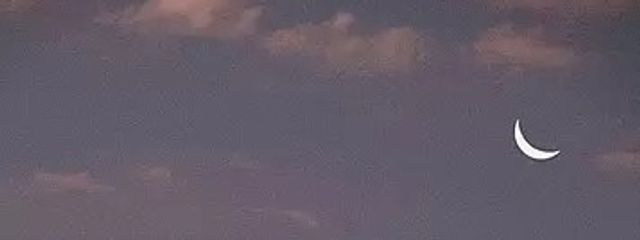 てぃー🐑💛さんの壁紙画像