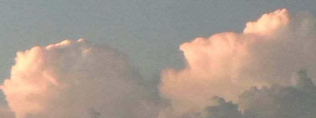 ぶうちゃん　不定期投稿さんの壁紙画像