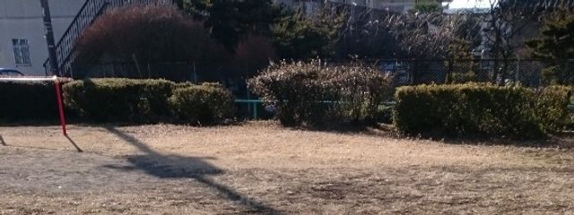ムーさんの壁紙画像