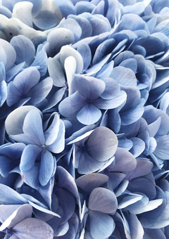 SixTONESは7人になったらしい.