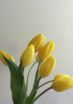 お仲間探し