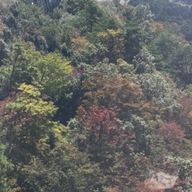 心波さんのアイコン画像