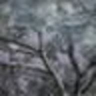 fuhukcrvvさんのアイコン画像