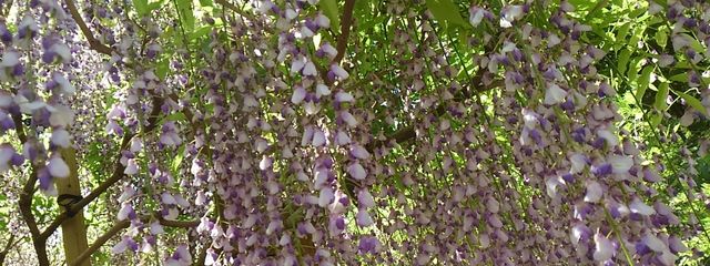 宝石箱さんの壁紙画像