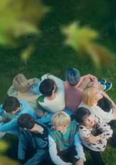 今、なんで謝ってるんだろ…