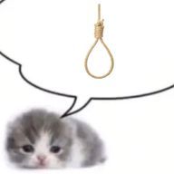 ☦︎︎さんのアイコン画像