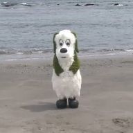 2Pさんのアイコン画像