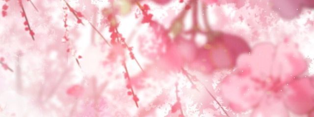 奏桜さんの壁紙画像