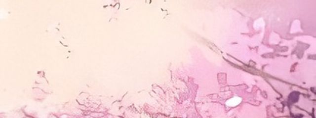 ☆COCORO☆さんの壁紙画像