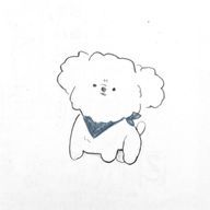 SHINONさんのアイコン画像