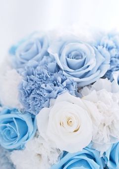 青い薔薇を君に