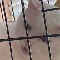 味醂醤油🧶さんのアイコン画像