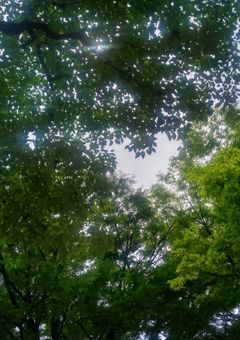 転生したので族作ります『過去編』