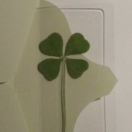 。さんのアイコン画像