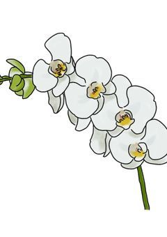 ただ愚痴るだけなの、ごめんね