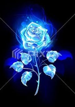 取り扱い説明書