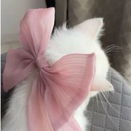 める。さんのアイコン画像