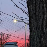 とくのめさんのアイコン画像