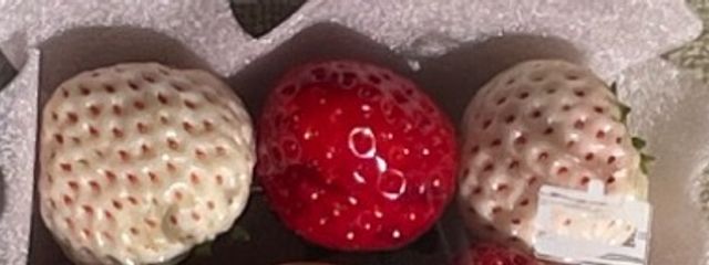 ちぃさんの壁紙画像