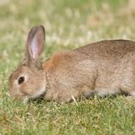 ちぃさんのアイコン画像