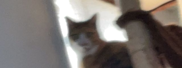 椎名 はづきさんの壁紙画像