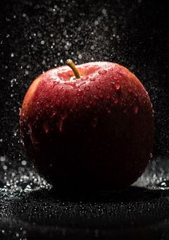 幻想郷に迷い込んだニーゴの話