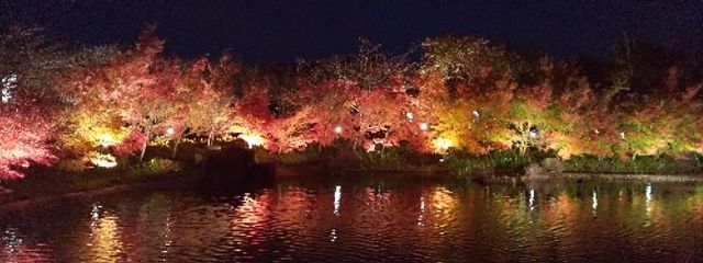 tarakoさんの壁紙画像