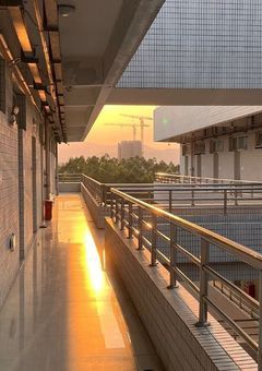 ✧　まず は ありがとう　🦋