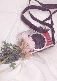 居なくなったら