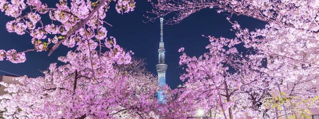 ななさんの壁紙画像