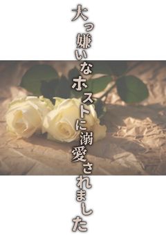 大っ嫌いなホストに溺愛されました【リレー】