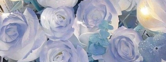 のんさんの壁紙画像