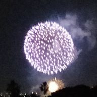 にゃむさんのアイコン画像