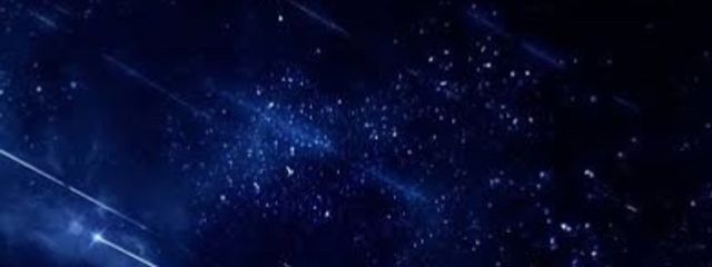 雲雀さんの壁紙画像