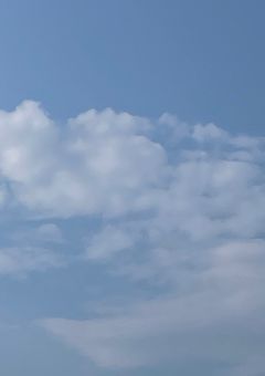 めめの家に座敷わらしが出るて