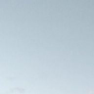 音桃 neto. 🎵🍑🌸🍫 _🌸☔💐_@活動休止さんのアイコン画像