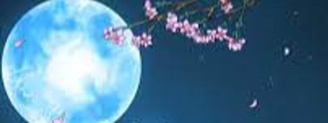 ねこもち@氷葉❄️ちゃんとペア画中！さんの壁紙画像